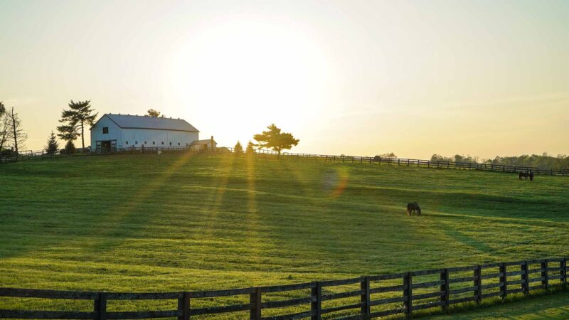 Farm