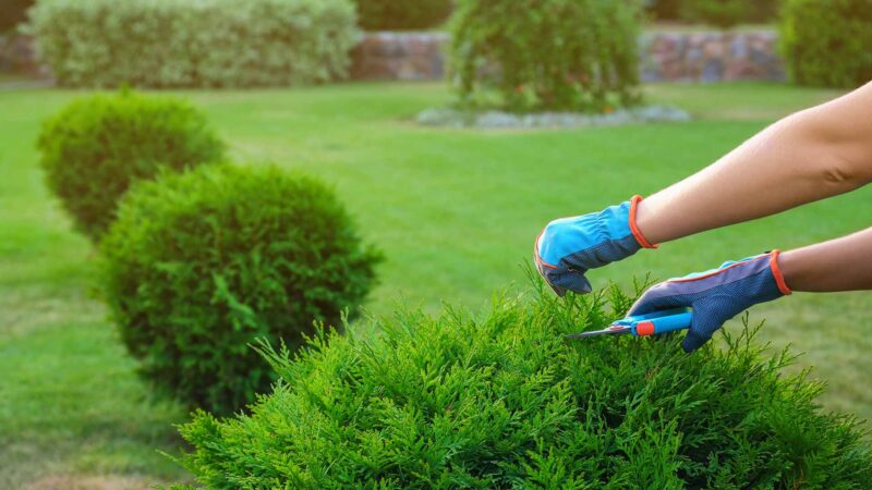 Spring Maintenance Tips to Help Prevent Home Insurance Claims