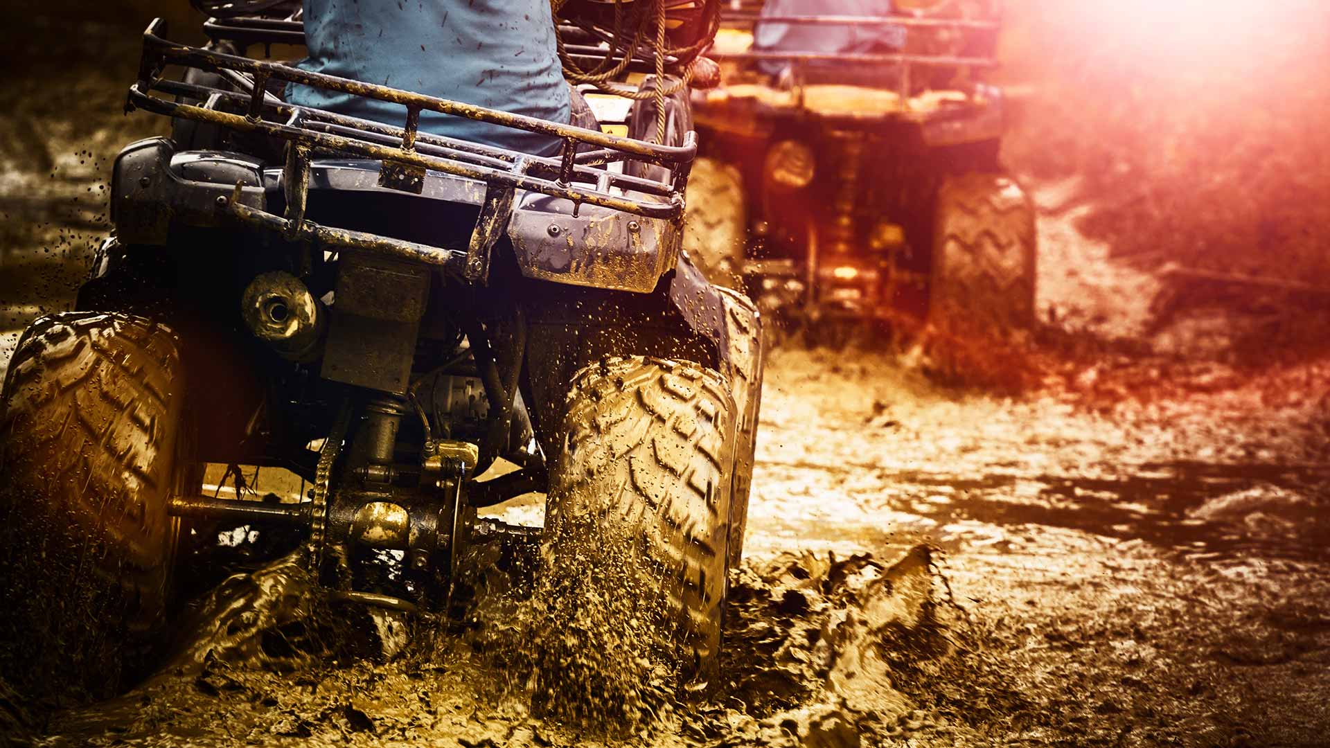 Toy Insurance in Ontario