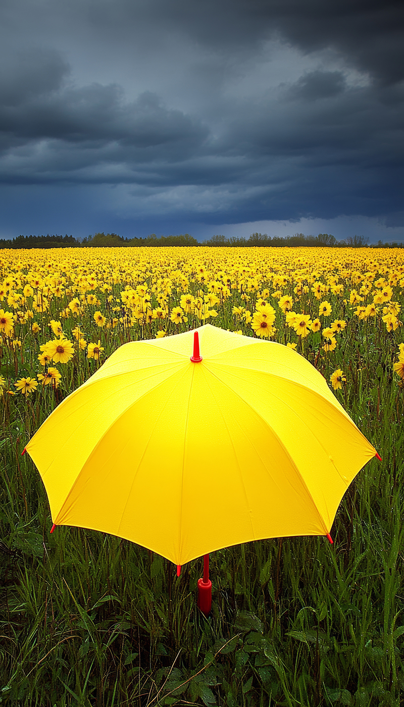 Business Insurance in Port Perry